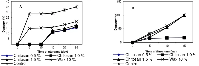 Figure 4. Damage percentage of pondoh snake fruit coated with chitosan during storage at 15 oC (A) and 27-29 oC (B) 