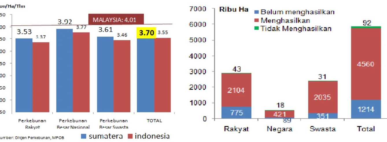 Grafik 13. Produktivitas Sawit Sumatera  Grafik 14. Jenis Tanaman Sawit Sumatera 