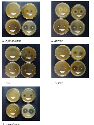 Figure 2. Inhibition activity of crude extract methanol of pakem leaf on growth of phatogenic bacteria
