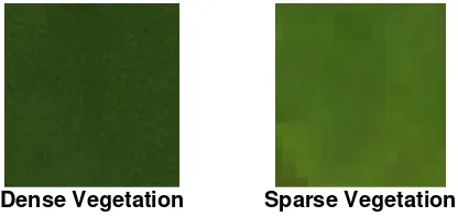 Figure 2. The example of land cover types 