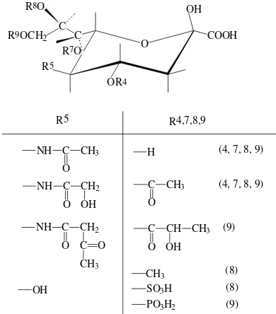 Figure 1. Sialic acid are N-Acetylneuraminic acid dan its derivates 
