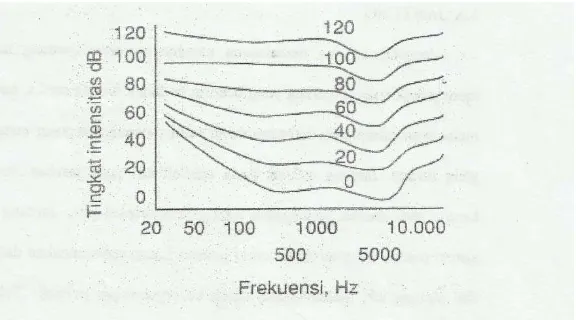 Gambar 2.2 Kurva tingkat intensitas dengan frekuensi untuk bunyi yang sama 