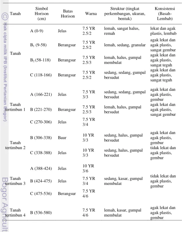 Tabel 2. Sifat Morfologi Tanah di Lokasi Penelitian 