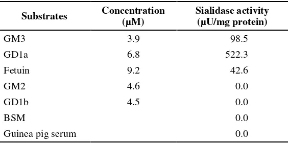 Figure 8. Dixon plot for the inhibition of sialidase activity by Neu2en5Ac. The sialidase activity was assayed in 60 mM acetate buffer pH 4.5 containing Neu5,2en between 0 and 70 µM for each MU-Neu5Ac concentration used at 46°C for 60 minutes
