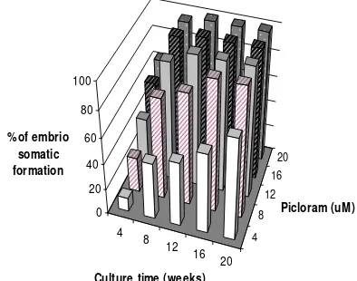Figure 1. Influence of Picloram  and culture time on somatic embryo formation 