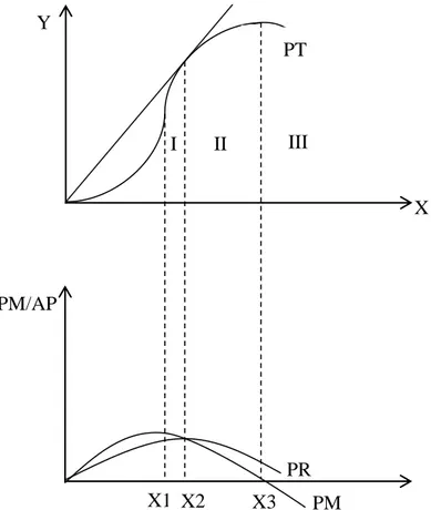 Gambar 1  Daerah produksi dan elastisitas produksi X1  X2 PM/AP X3 PM PR III II I X Y PT 
