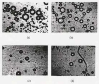 Figure 1. Microcapsule (zoomed 100 X) 