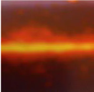 Gambar 7: Sinar gamma yang terletak didaerah spektrum elektromagnet yang terbentuk sekitar  panjang gelombang antara 0.00001 hingga 0.05 nanometer