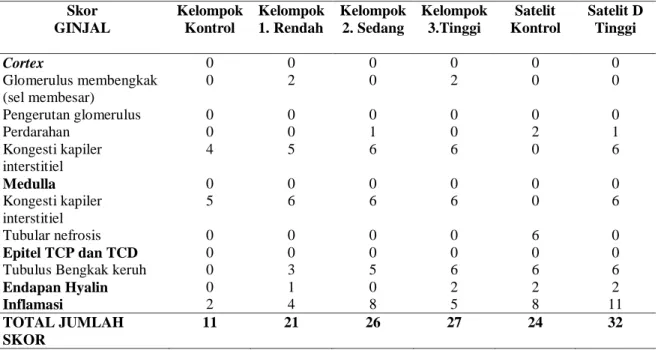 Tabel 5 Resume Hasil Analisis Histopatologis  Preparat Ginjal Tikus Betina 