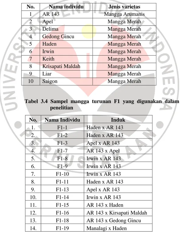 Tabel 3.3 Sampel induk mangga yang digunakan dalam penelitian  No.  Nama individu   Jenis varietas 