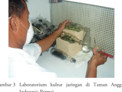 Gambar 3  Laboratorium  kultur  jaringan  di  Taman  Anggrek  Indonesia Permai