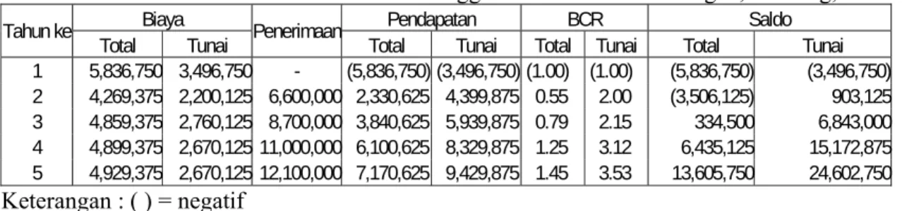 Tabel  3. Hasil Analisis Finansial Usahatani Anggur di Kecamatan Gerokgak,Buleleng, 2005