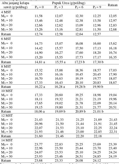 Tabel 3. Tinggi bibit (cm) pada berbagai perlakuan abu janjang kelapa sawit dan pupuk Urea (cm) umur 4-14 MST 