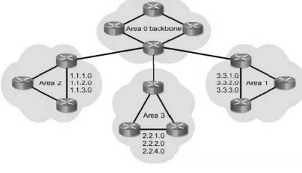 Gambar 2.11 Area Pada OSPF  (Sumber :http://cnap.binus.ac.id/ccna/) 