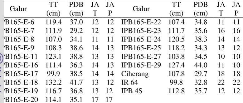 Tabel 6. Rataan karakter vegetatif galur-galur padi yang diuji turunan dari tetua IR 64 x IPB117-F19-1-1 