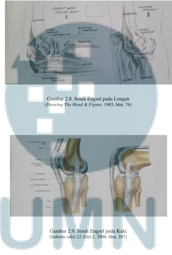 Gambar 2.8. Sendi Engsel pada Lengan  (Drawing The Head &amp; Figure, 1983, hlm. 76) 