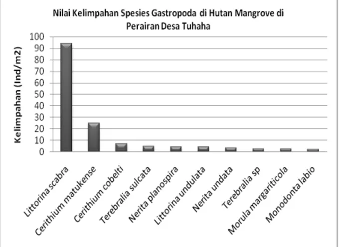 Gambar 2.  Nilai Kelimpahan Gastropoda di Hutan Mangrove Perairan Desa Tuhaha 