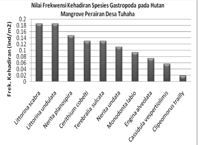 Gambar 3.   Nilai  Frekuensi  Kehadiran  Gastropoda  di  Hutan  Mangrove  Perairan  Desa  Tuhaha 