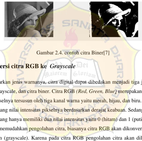 Gambar 2.4. contoh citra Biner[7] 