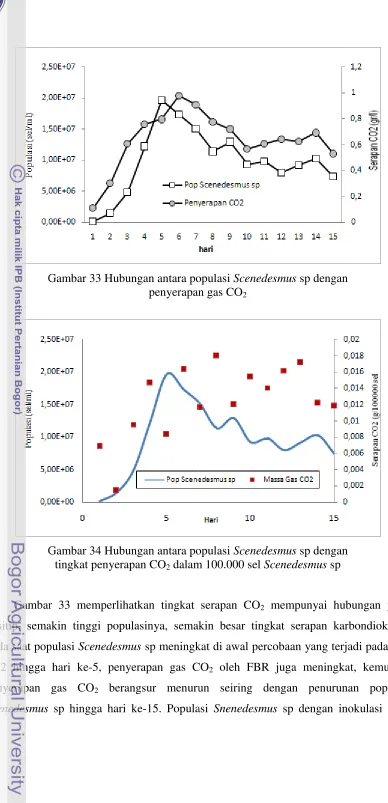 Gambar 33 Hubungan antara populG
