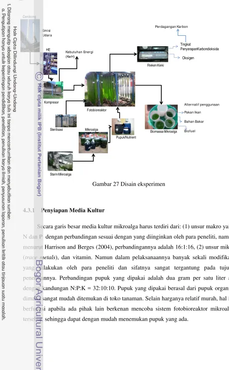 Gambar 27 Disain eksperimen 