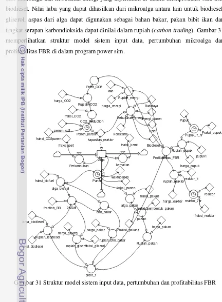 Gambar 31 Struktur model sistem input data, pertumbuhan dan profitabilitas FBR 