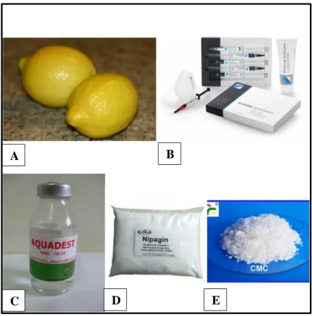 Gambar 6. Bahan Penelitian. (A) Buah lemon, (B) Karbamid Peroksida 16%,  (C) Aquades, (D) Nipagin, (E) CMC Na 
