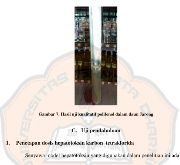 Gambar 7. Hasil uji kualitatif polifenol dalam daun Jarong 