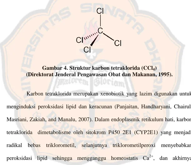 Gambar 4. Struktur karbon tetraklorida (CCl 4 ) 