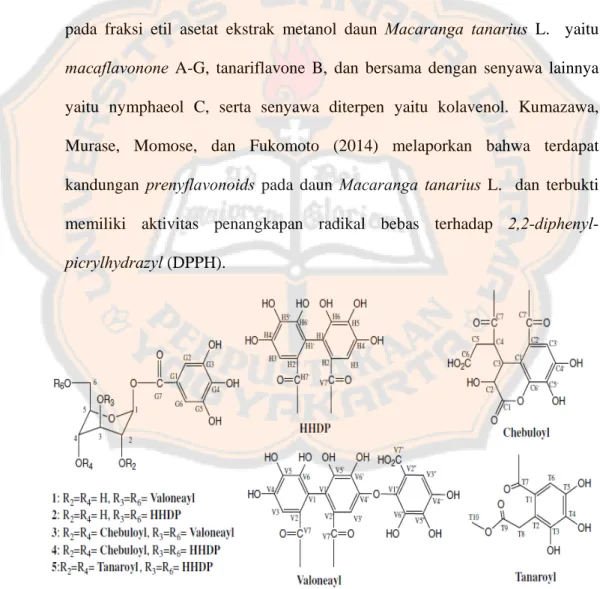 Gambar 8. Isolasi senyawa ellagitannins dari fraksi EtOAc daun Macaranga  tanarius L.  : mallotinic acid (1) corilagin (2) macatannin A (3) chebulagic acid 