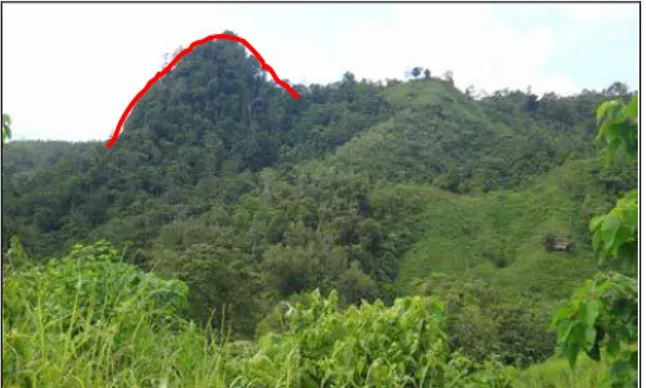 Gambar  4.  Leher  gunung  api  di  Pangasaan  yang  merupakan  salah  satu  morfologi  akibat  aktifitas  magmatik.