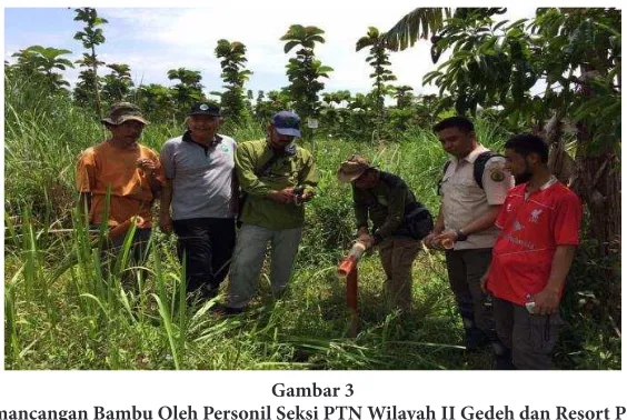 Gambar 3Pemancangan Bambu Oleh Personil Seksi PTN Wilayah II Gedeh dan Resort PTN 