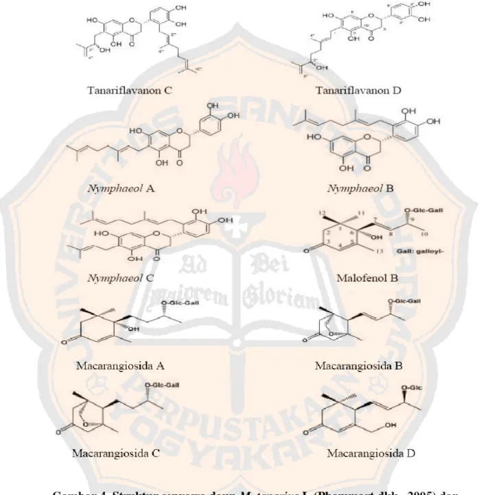 Gambar 4. Struktur senyawa daun M. tanarius L.(Phommart dkk., 2005) dan  (Matsunami dkk., 2006) 