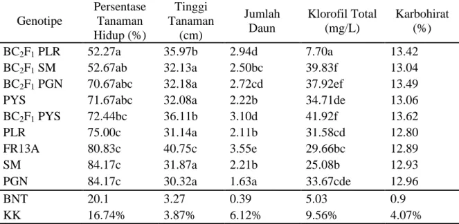 Tabel 2. Hasil Analisi Uji Beda Nyata Terkecil  Genotipe  Persentase Tanaman  Hidup (%)  Tinggi  Tanaman (cm)  Jumlah Daun  Klorofil Total (mg/L)  Karbohirat (%)  BC 2 F 1  PLR  52.27a  35.97b  2.94d  7.70a  13.42  BC 2 F 1  SM  52.67ab  32.13a  2.50bc  39.83f  13.04 