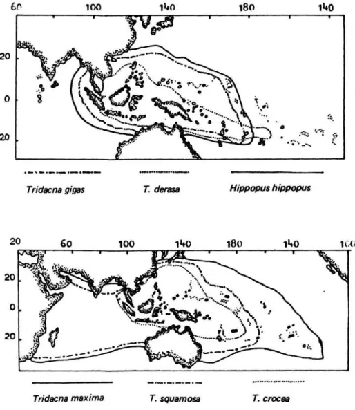Gambar 6. Peta sebaran suku Tridacnidae di Indo–Pasifik (ROSEWATER 1965) 