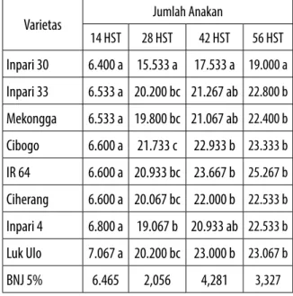 Tabel 8 Uji Beda Pengaruh Varietas  terhadap jumlah anakan per rumpun pada  umur 14 HST, 28 HST, 42 HST dan 56 HST