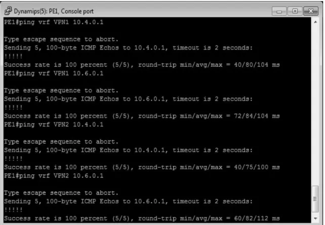 Gambar 4Proses Ping 