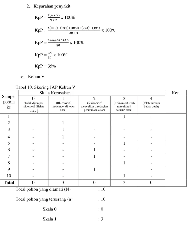 Tabel 10. Skoring JAP Kebun V  Sampel 