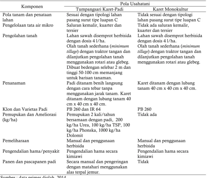 Tabel  4.  Komponen  pola  usahatani  karet-padi  pada  tingkat  petani  di  lahan  pasang  surut  Air  sugihan, Sumatera Selatan 