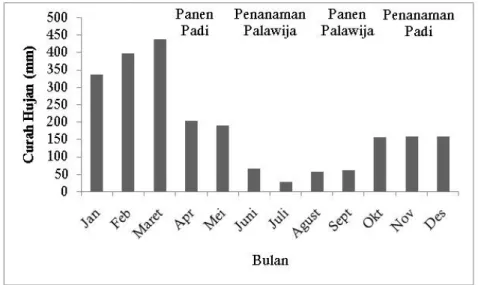 Gambar 1. Distribusi curah hujan per bulan di daerah pasang surut Air Sugihan, Badan Meteorologi  Klimatologi dan Geofisika, Stasiun Klimatologi Kelas II Kenten Palembang, 2014.