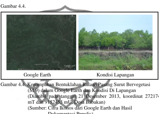 Gambar 4.4. Kenampakan Bentuklahan Rataan Pasang Surut Bervegetasi   (M.9) dalam Google Earth dan Kondisi Di Lapangan 