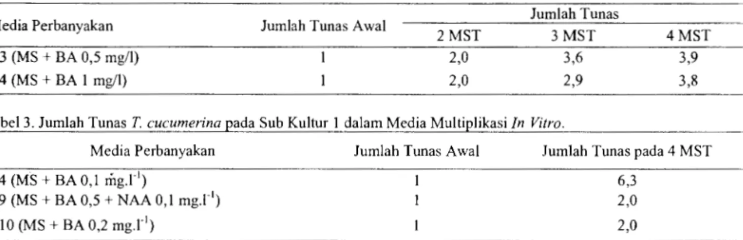 Tabel  4.  Rataan  Bobot  Kalus  T  tricuspidata  pada 4  MST  dari  Berbagai  Komposisi  Media MS  dengan  Penambahan  Berbagai Konsentrasi NAA dan BA
