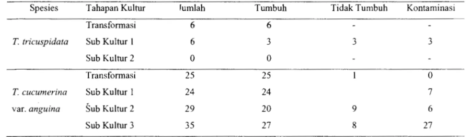Tabel  8  menunjukkan  hasil  analisis  total  protem. 
