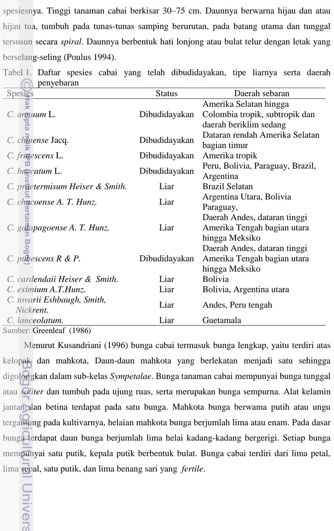 Tabel 1.  Daftar  spesies  cabai  yang  telah  dibudidayakan,  tipe  liarnya  serta  daerah  penyebaran  