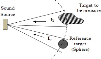 Figure 3. Target strength measurement incorporating reference target 