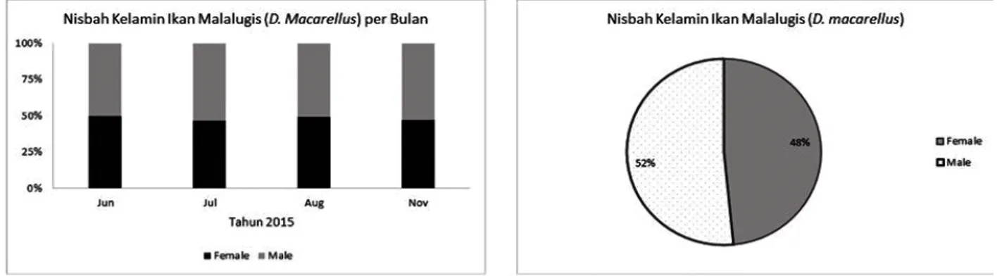 Gambar 2. Nisbah kelamin ikan malalugis di Teluk Tomini, Juni-Nopember 2015.