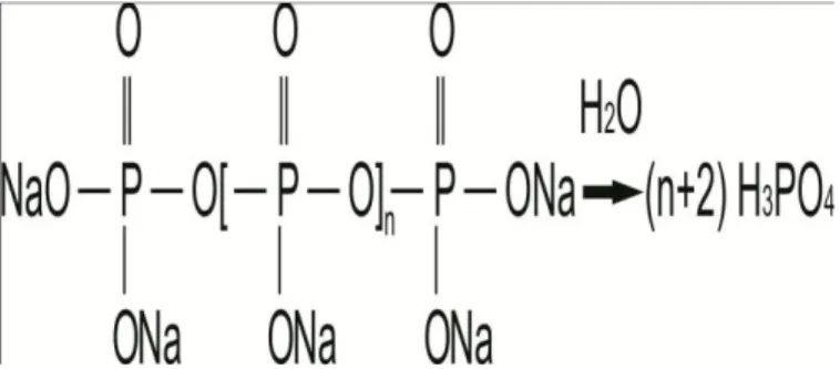 Gambar 1. Reaksi hidrolisis polifosfat (Al-Deffeeri, 2006) 