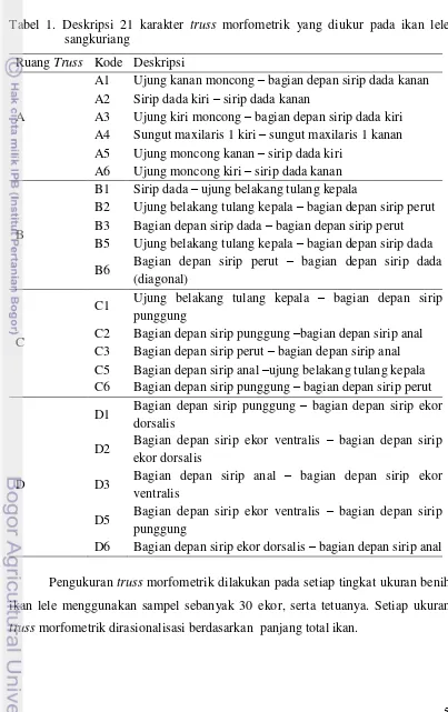 Tabel 1. Deskripsi 21 karakter truss morfometrik yang diukur pada ikan lele 