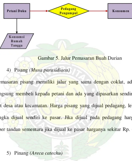 Gambar 5. Jalur Pemasaran Buah Durian  4)  Pisang (Musa parasidiaca) 