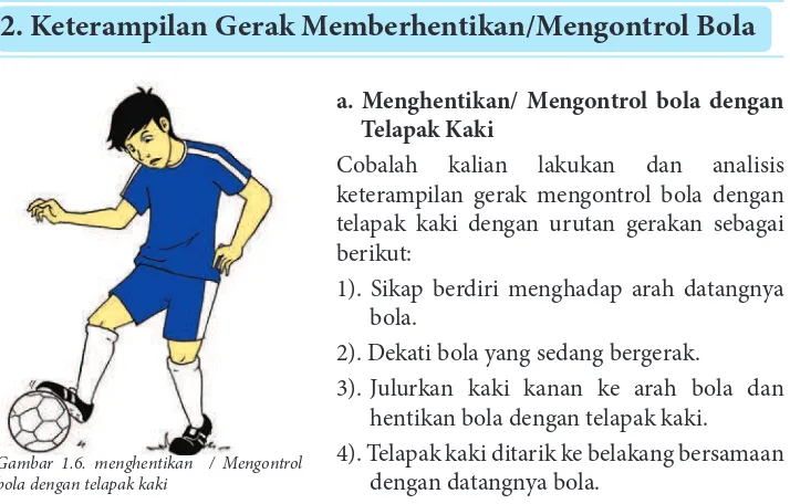 Gambar 1.5. Aktivitas Bermain untuk Belajar ketermpilan Gerak Menendang Bola